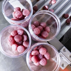 树莓软糖需要数粒装瓶如何选择好用的数粒机？