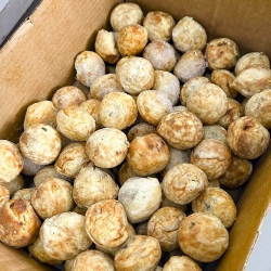 方星全自动丸子数粒机