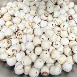 莲子按个数投料如何选择专业的数粒机？